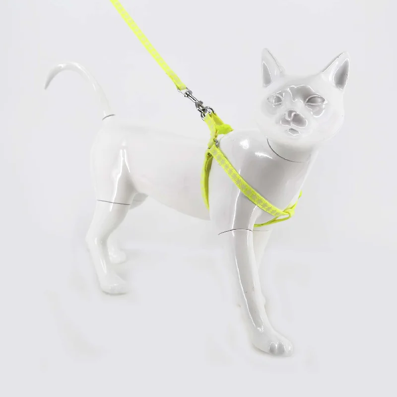 2gather Fluorescent Harness and Lead (Light Green)