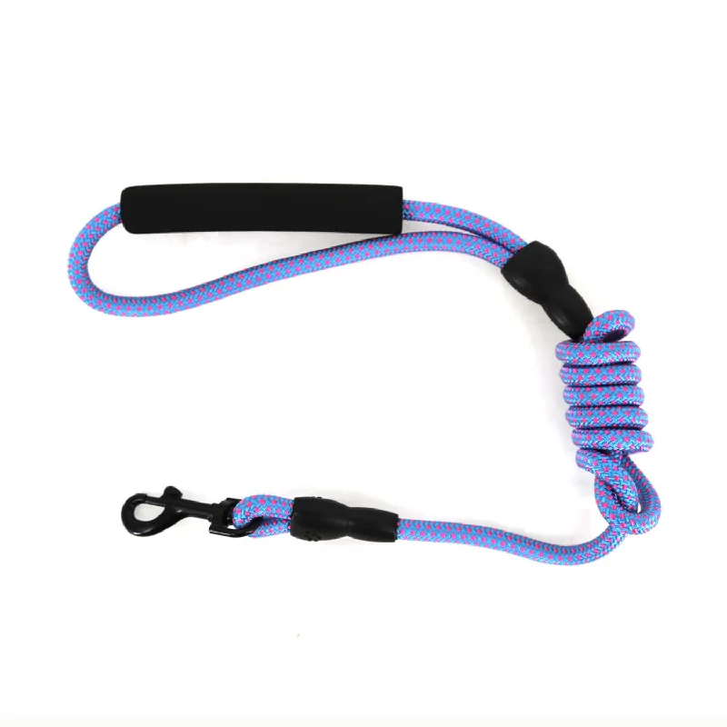 2gather Nylon Pet Leash (Light Blue)