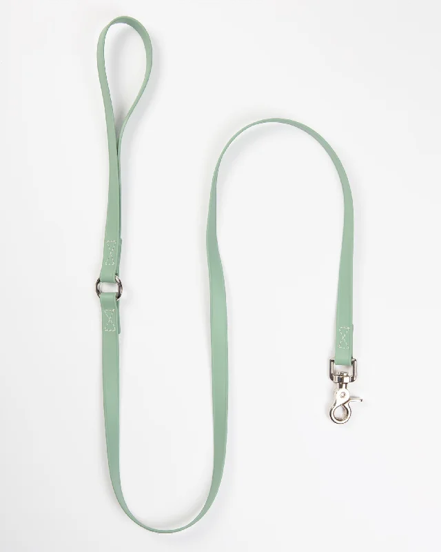 A Walk in the Park Dog Leash in Sage Green (Made in the USA)