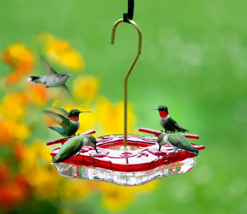 Aspects HighView Square Hummingbird Feeder