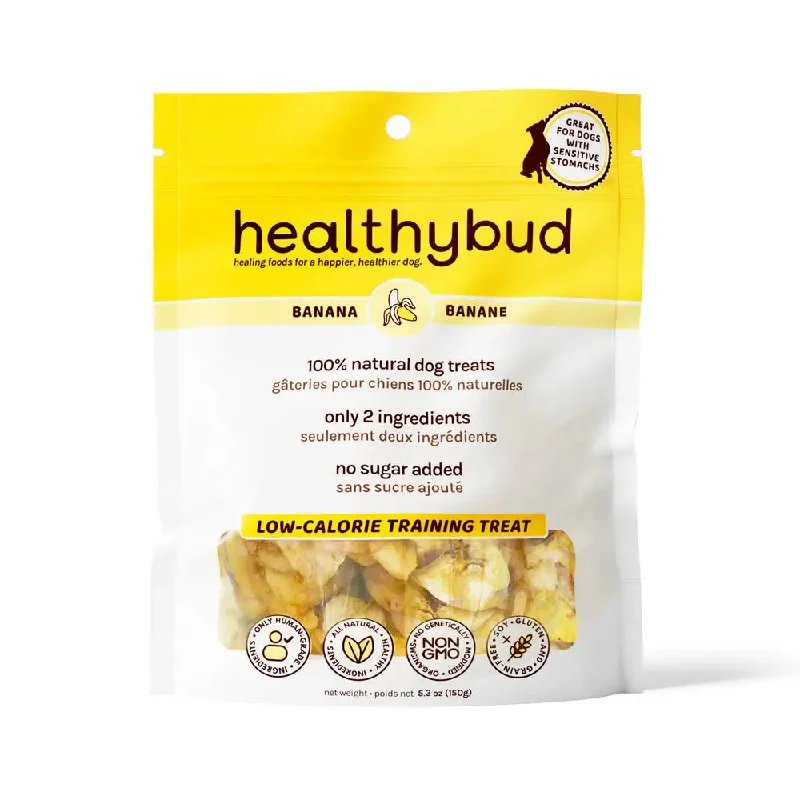 Healthybud Banana Crisps Dehydrated Vegan Training Dog Treats 5.3 Oz