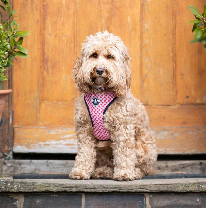 Hugo & Hudson Watermelon Dog Harness