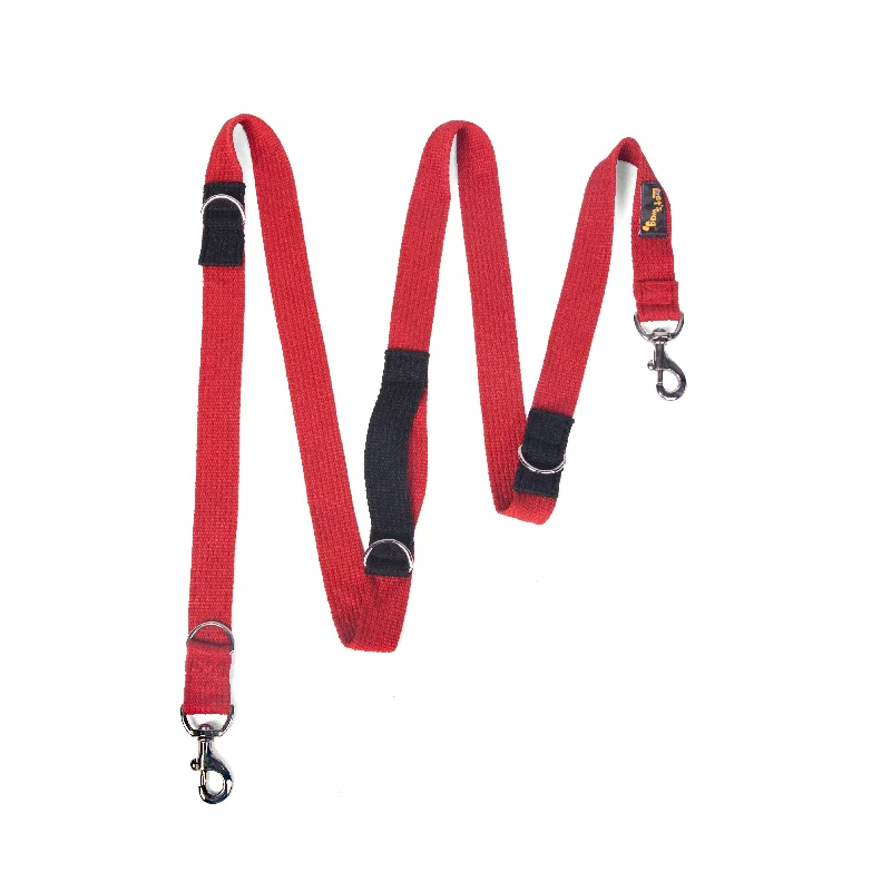 Let's Wag Multi Purpose Leash for Dogs (Red)