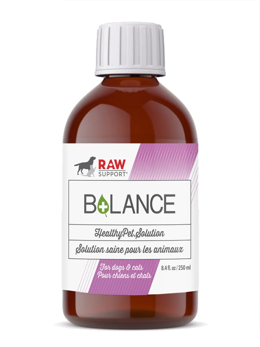 Raw Support B+LANCE Healthy Pet Solution for dogs & cats 250ml