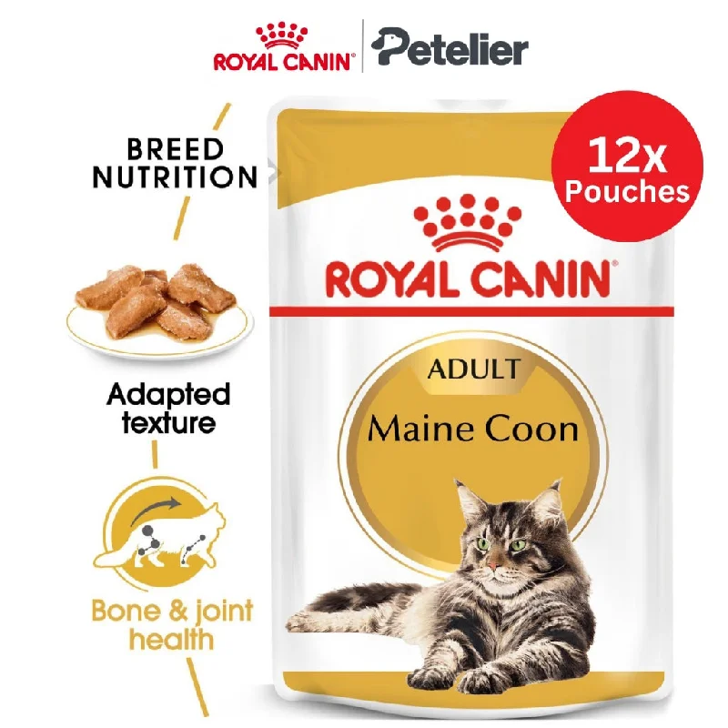 Royal Canin Maine Coon Adult (85g x 12 Pouches) Wet Cat Food - Feline Breed Nutrition