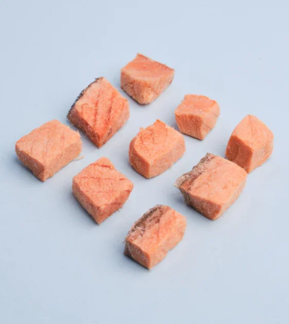 WildChow Freeze Dried Dog Treats (Salmon Bites)